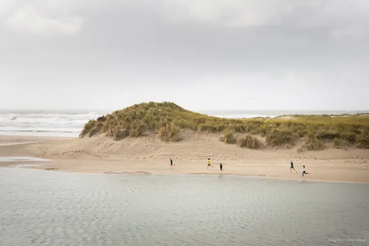 Kleine lopers op het strand voor een begroeide duin, met de zee erachter en water op de voorgrond